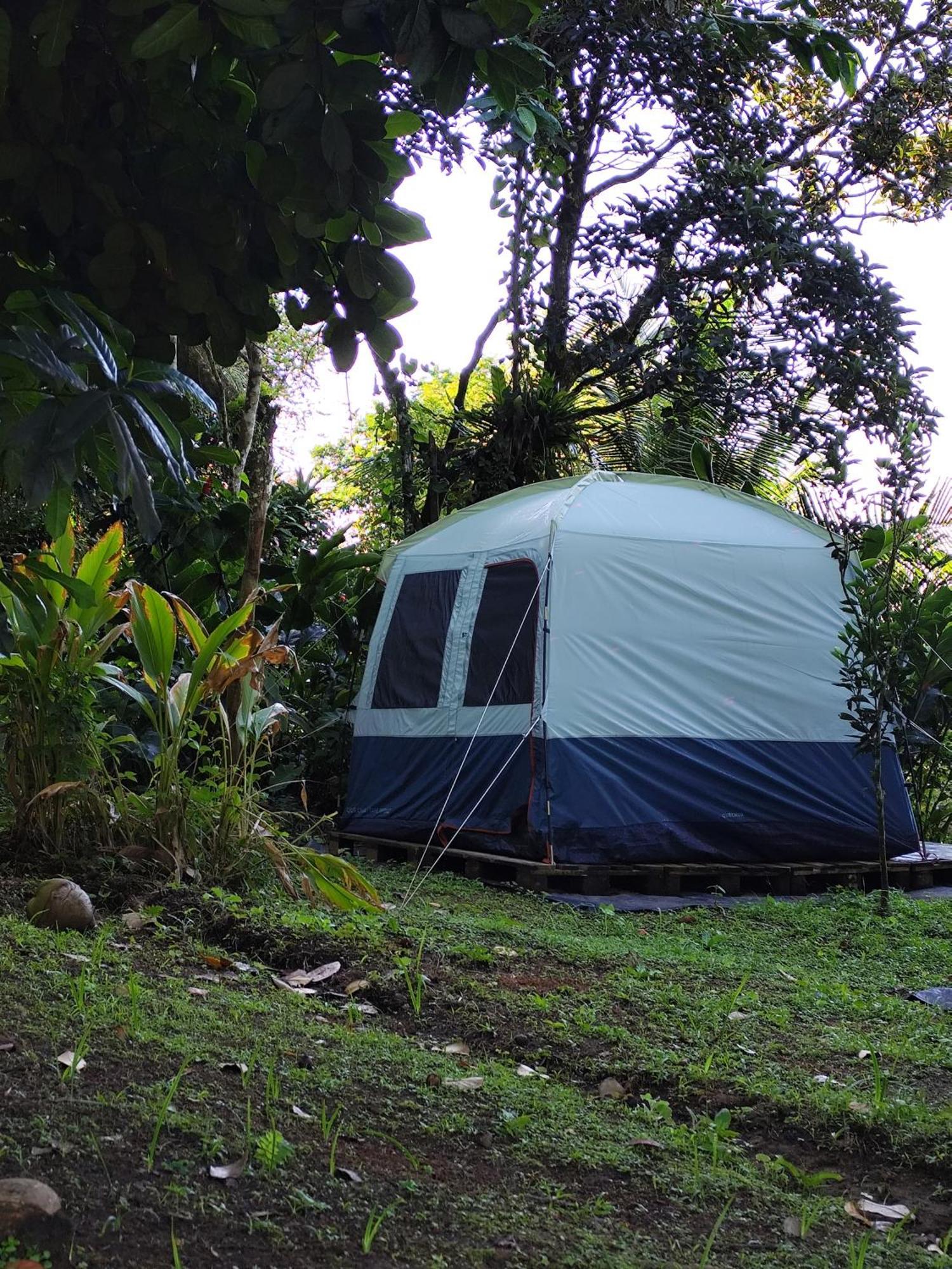 Camping A La Ferme Gros-Morne Extérieur photo