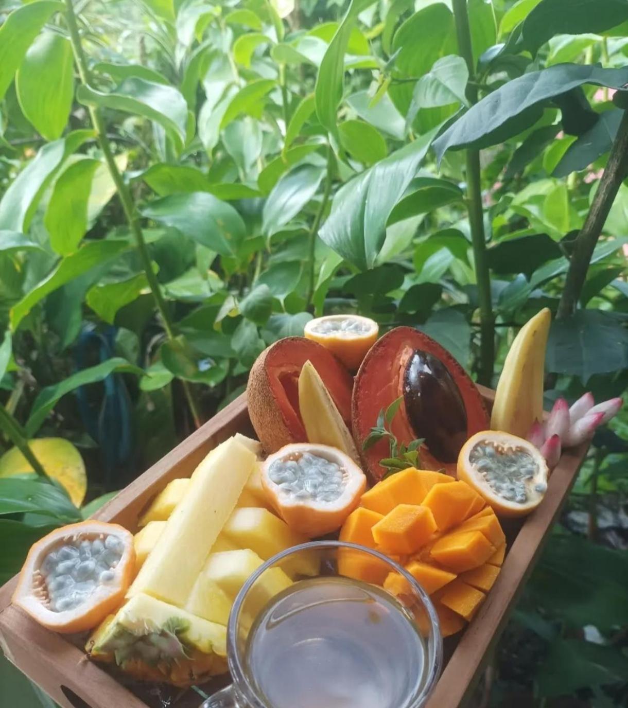 Camping A La Ferme Gros-Morne Extérieur photo